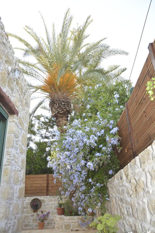 Joakim'S Villa Pitsidia Dış mekan fotoğraf